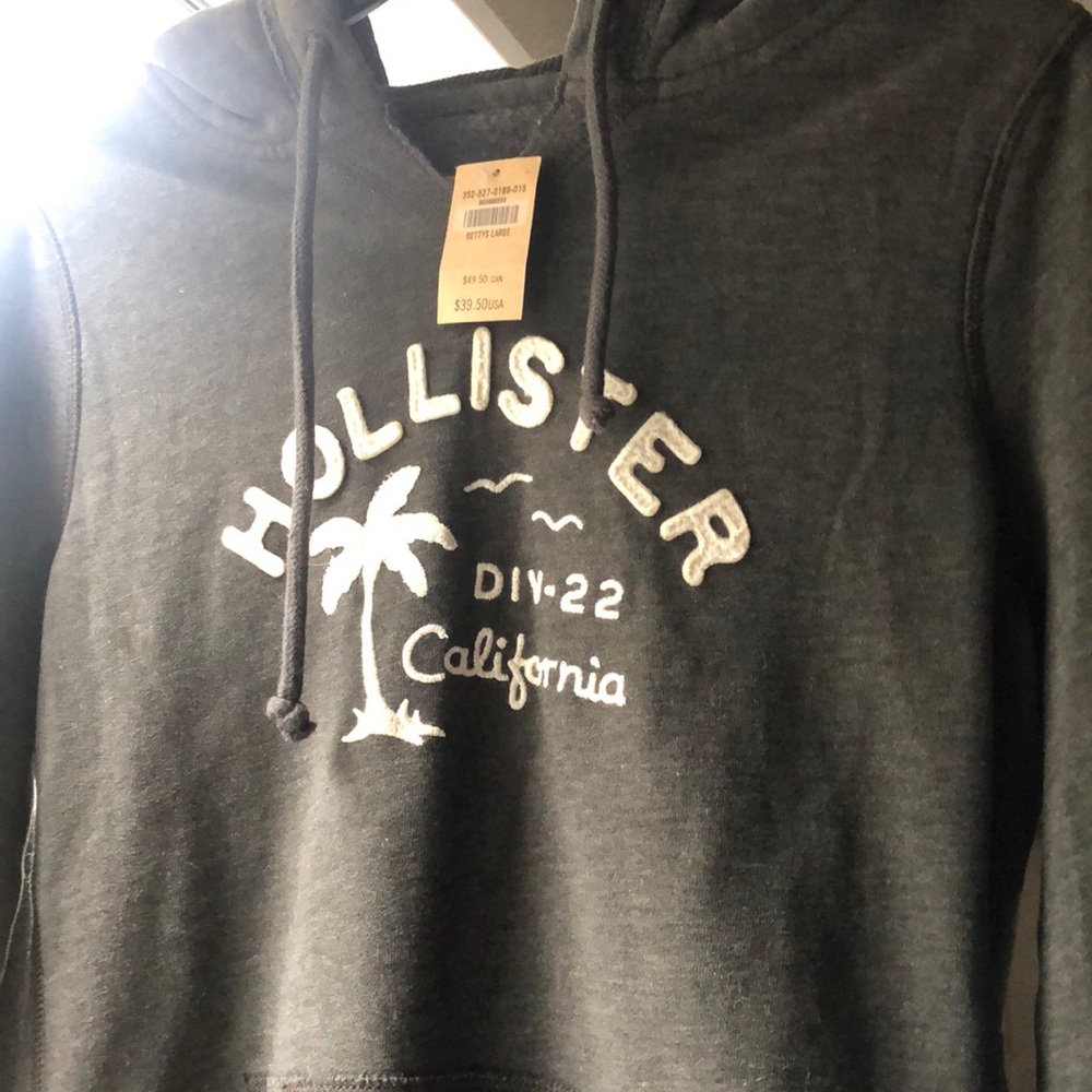 NWT Vintage HTF Hollister hoodie. Charcoal gray. Juniors large. Palm tree design